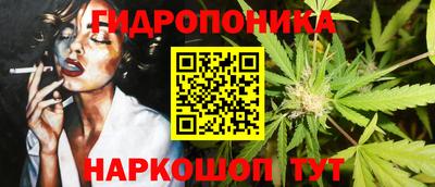 прущие грибы Жуковский